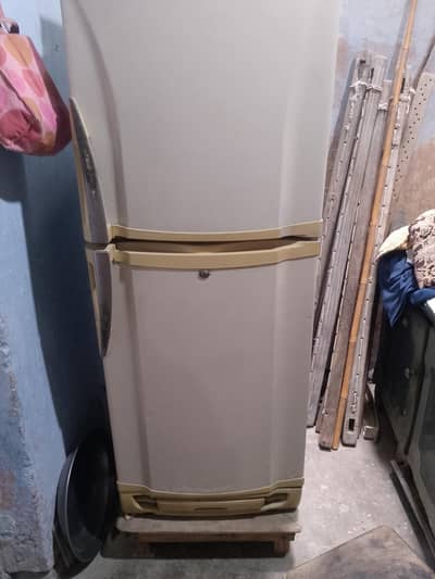 pel fridge for sale