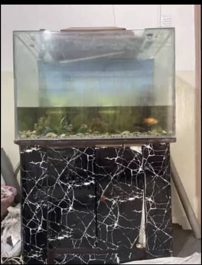 Fish Tank