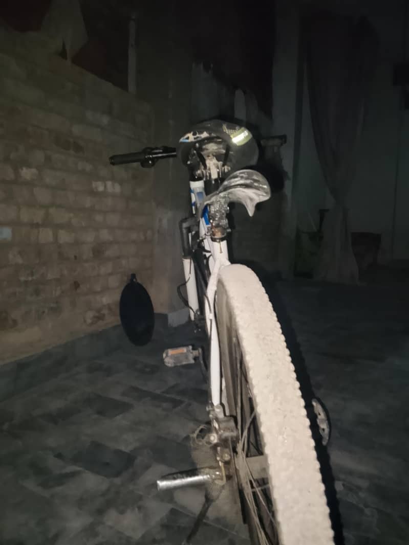 bicycle 1