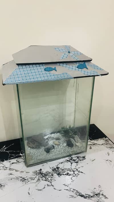 Ready to Use Fish Aquarium