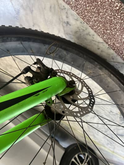 Fat tyre cycle