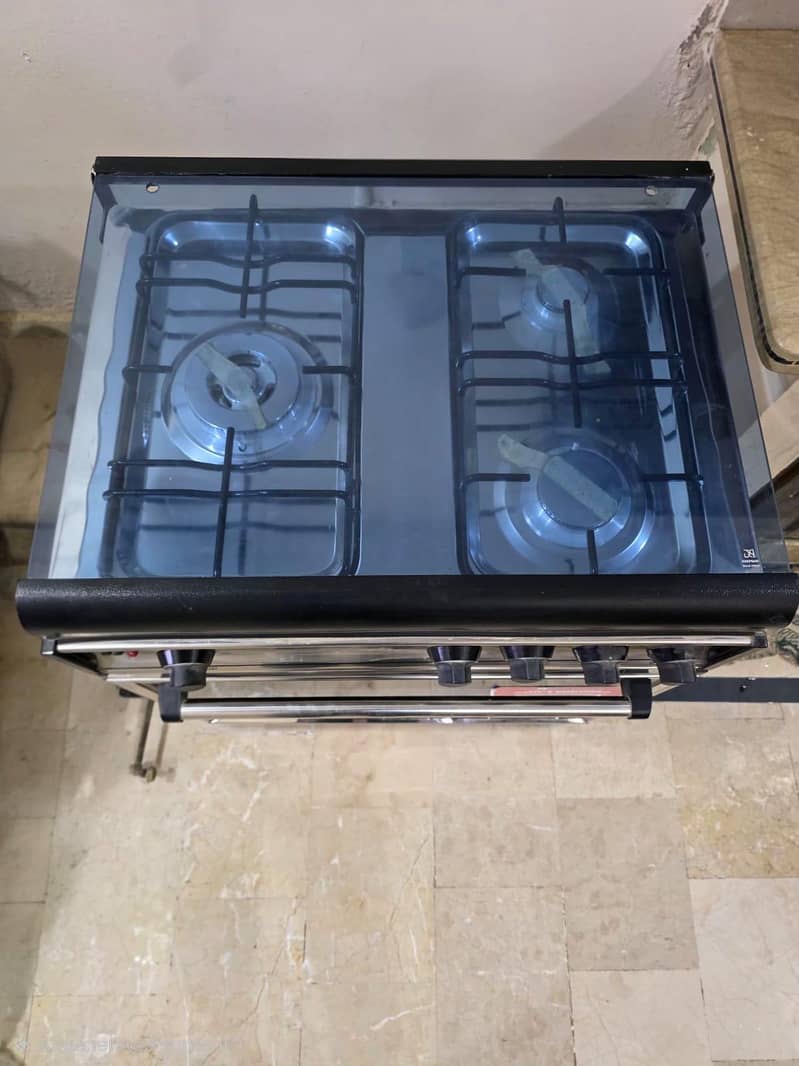 SKYflame Cooking range 1