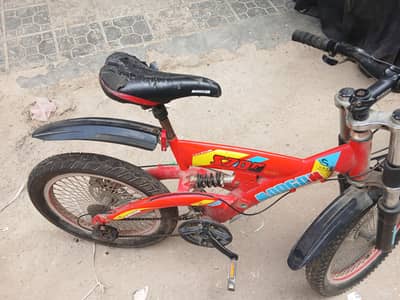 Morgan Bicycle – Good Condition | Ready to Ride