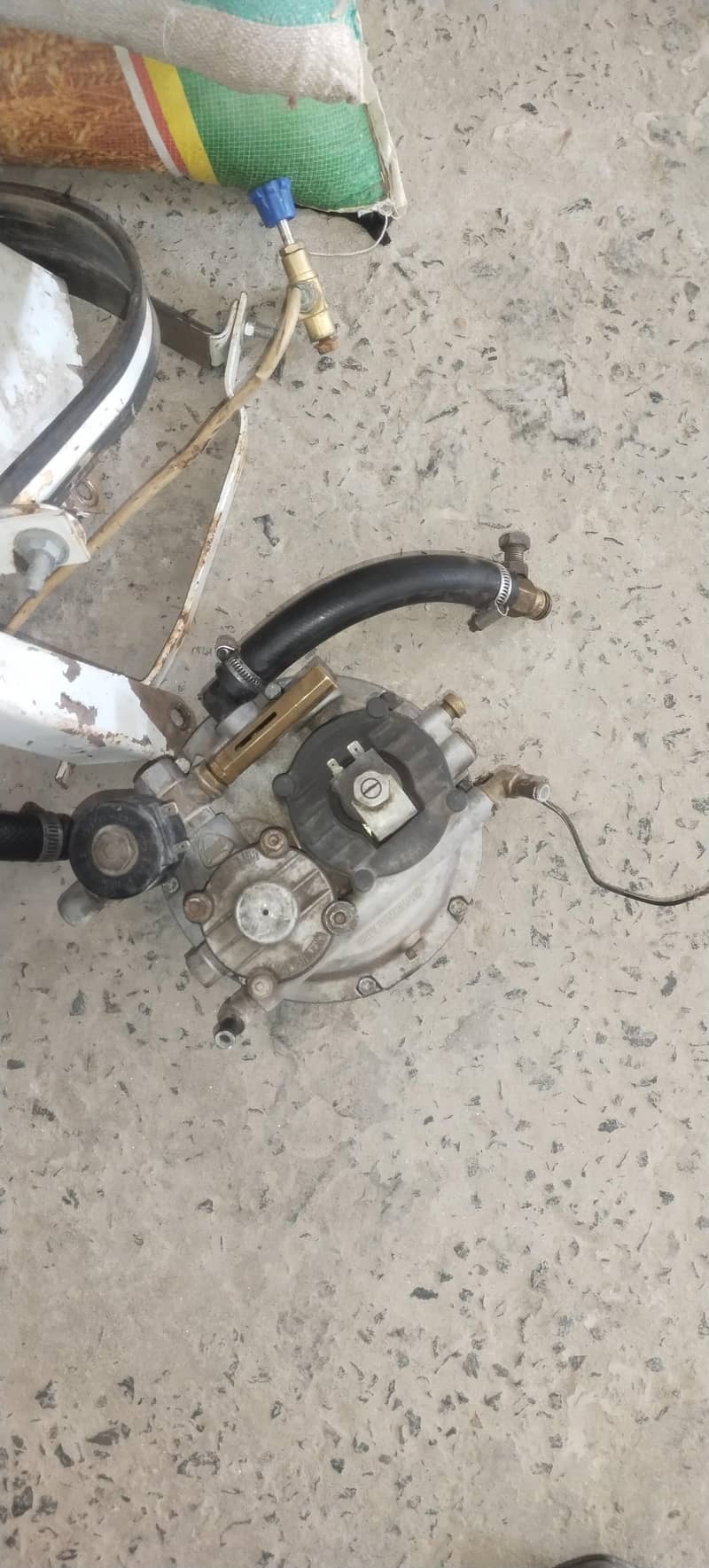 cng celender 1