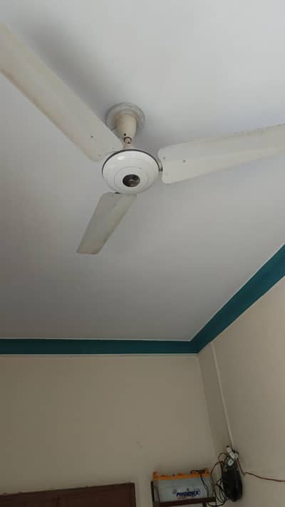 Gfc Celling Fan