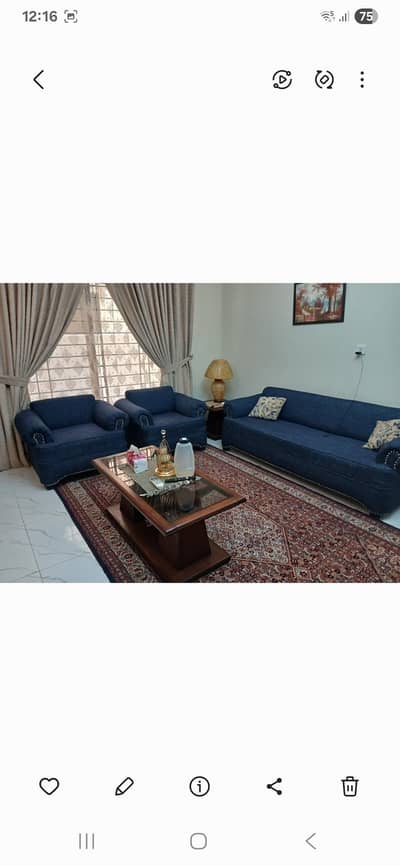 Blue Sofa Set