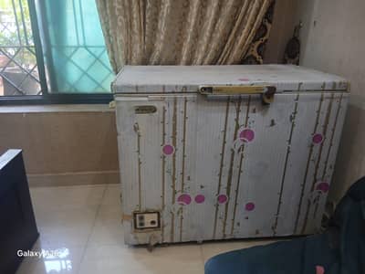 please buy this freezer it is in reasonable price