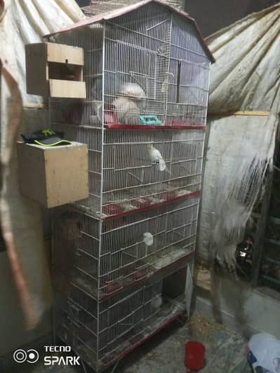 cage for sale