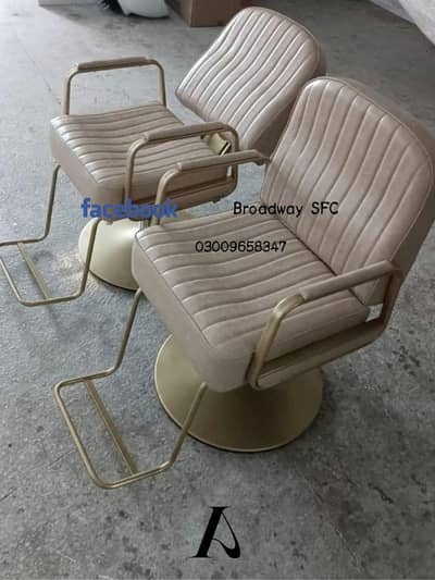 Saloon furniture saloon chair salon chair Barber chair Manicure