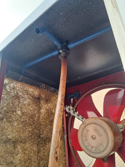 Air cooler