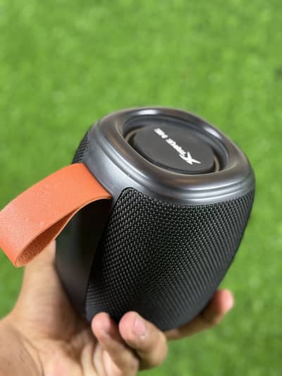 Home room speaker