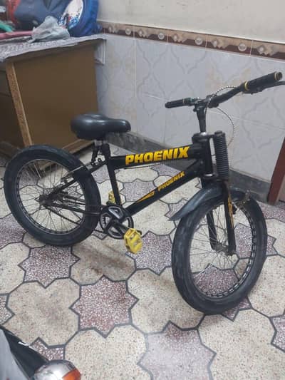Phoenix 20" bicycle