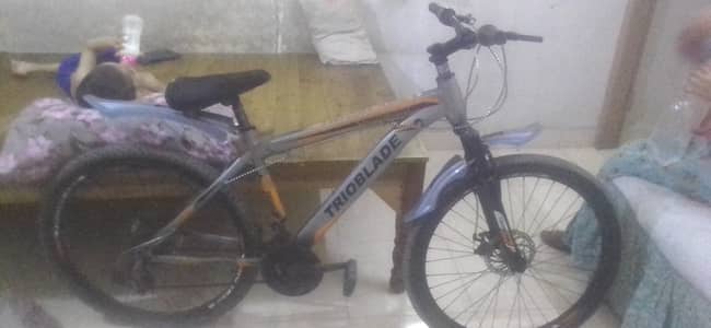 My Imported bycycle
