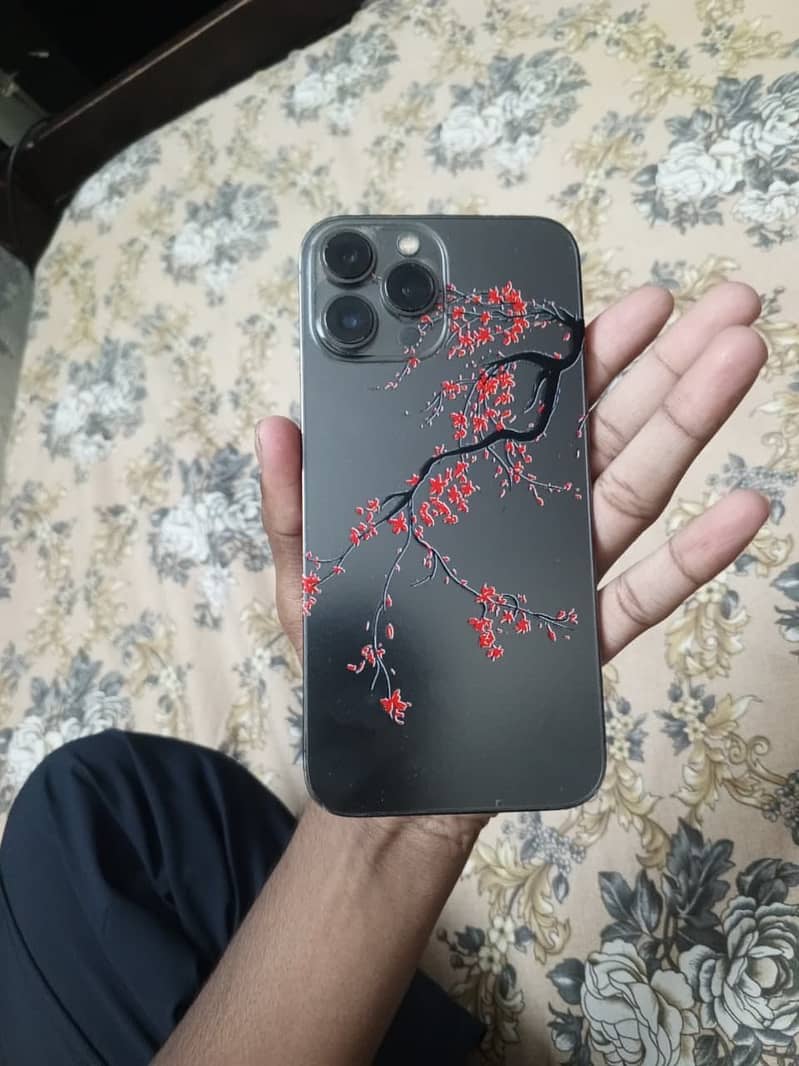 Apple iPhone 13 Pro Max 0