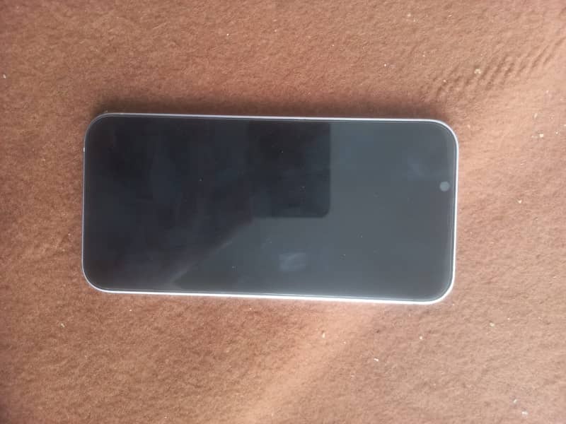 Apple iPhone 13 0