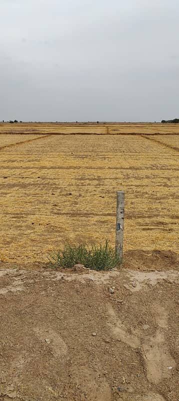 10 Marla Plot block J LDA Avenue 1 urgent for sale