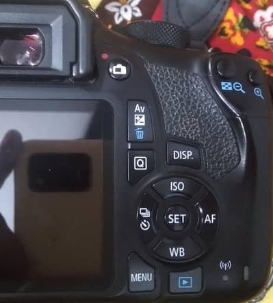 CANON ¹³⁰⁰D rebel T⁶ with 50MM 1.8