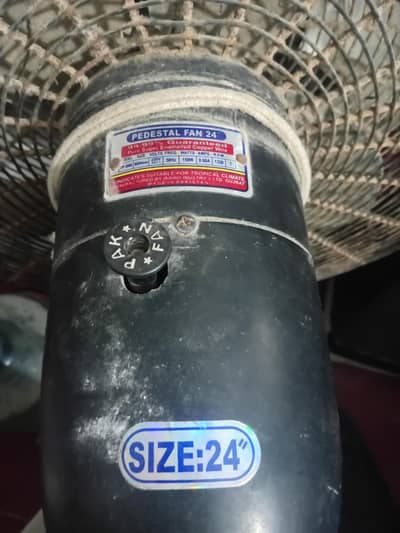 pak fan pedestal fan
