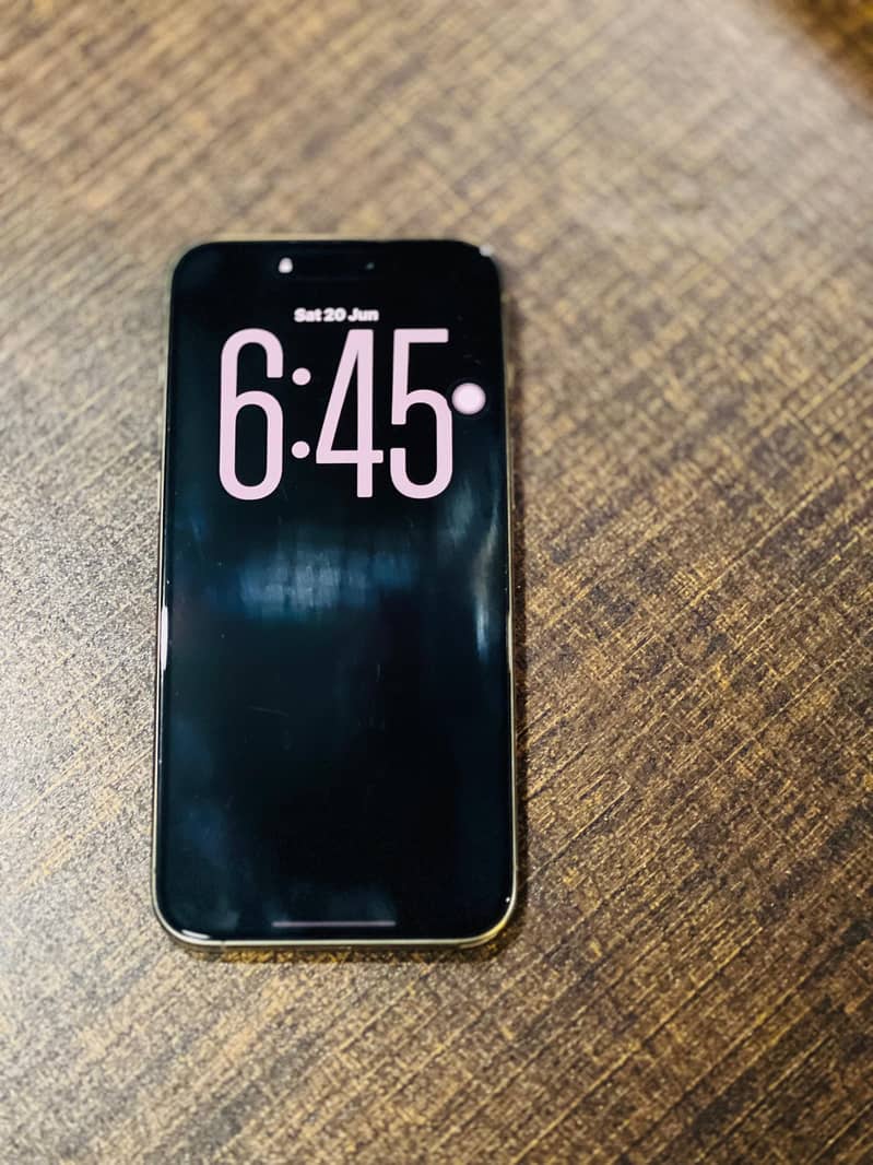 Apple iPhone 15 Pro Max 1