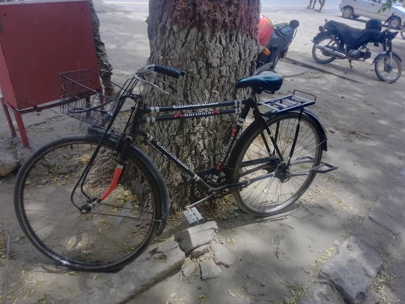 cycle 3