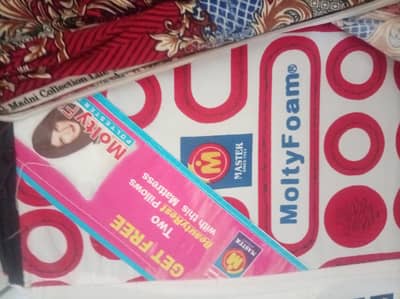 Master Month Foam Mattress