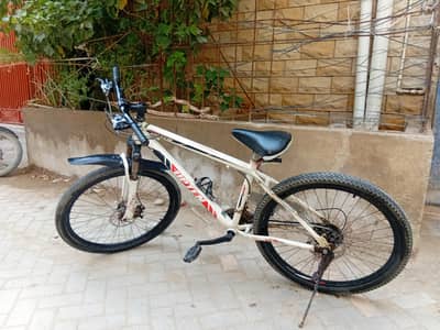 Giant Bicycle