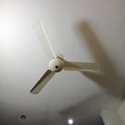 Royal Energy Saver 30Watts Deluxe