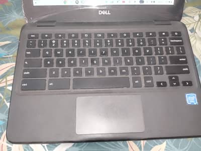 dell chrome book