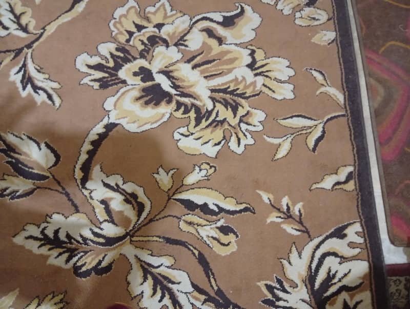 carpet 1