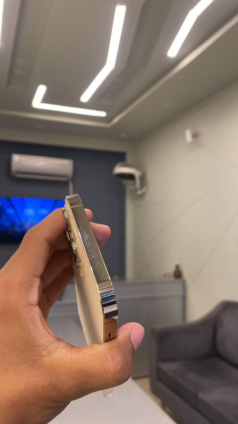 13 pro max 2