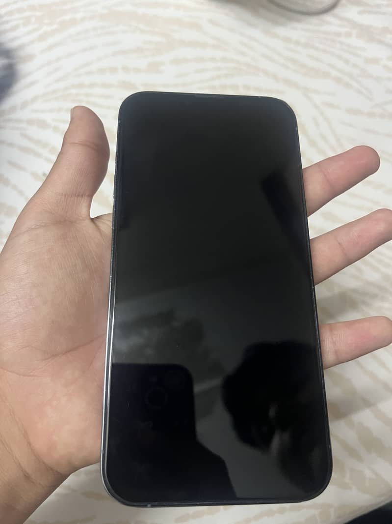 Apple iPhone 13 Pro Max 2