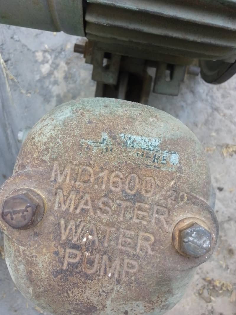Donkey Pump 1