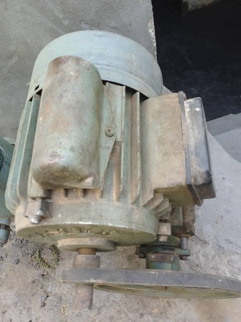 Donkey Pump 3