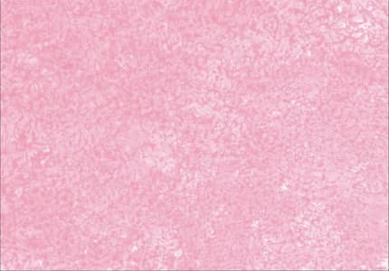 Attractive Pink Carpet Affordable Price