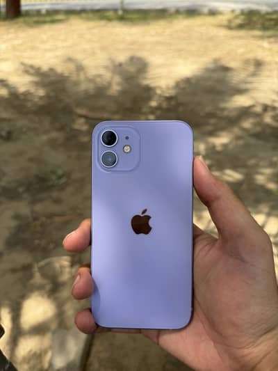 Apple iPhone 12 PTA Approved