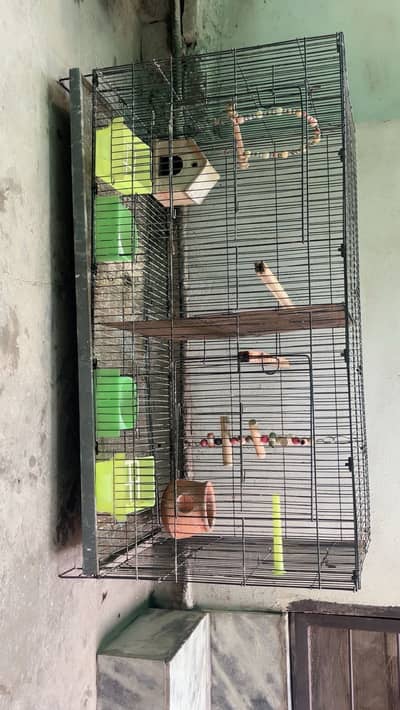 Bird cage for sale with divider and accessories
