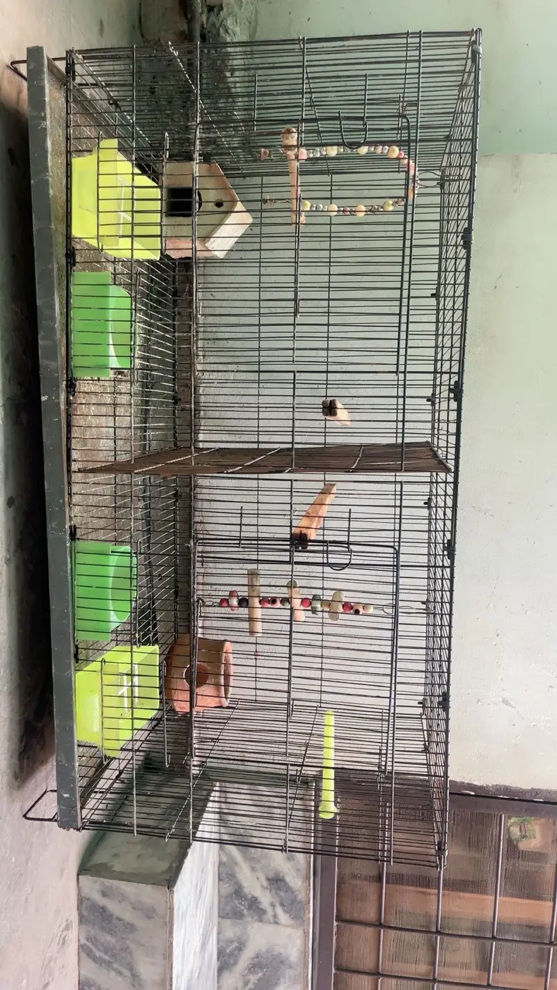 Bird cage for sale with divider and accessories — photo 2