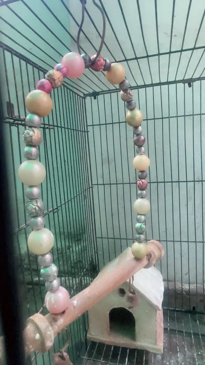 Bird cage for sale with divider and accessories — photo 3