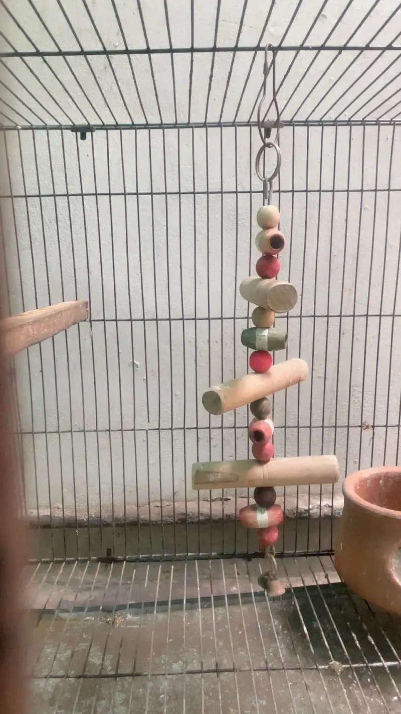 Bird cage for sale with divider and accessories — photo 4