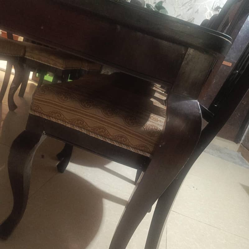 dining table 6