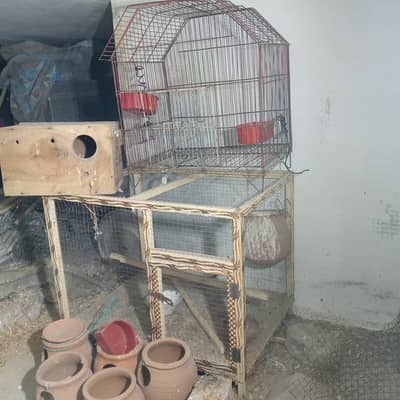 birds cages