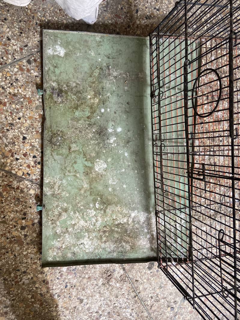 foldable cage 1