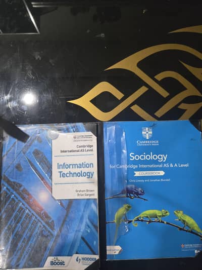 sociology and information technology
