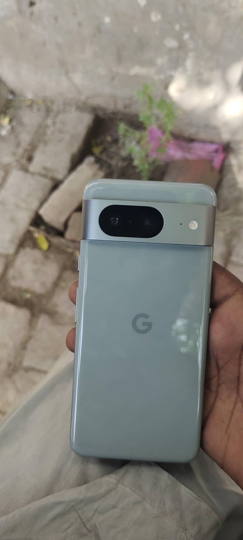 google pixel 8 1