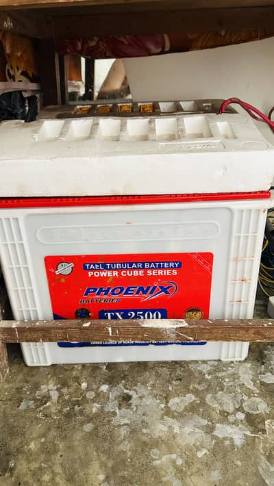 Phoenix tx2500 tubular batteries 1.5 months used