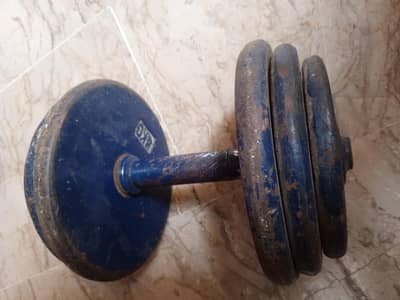 200 per kg dumple