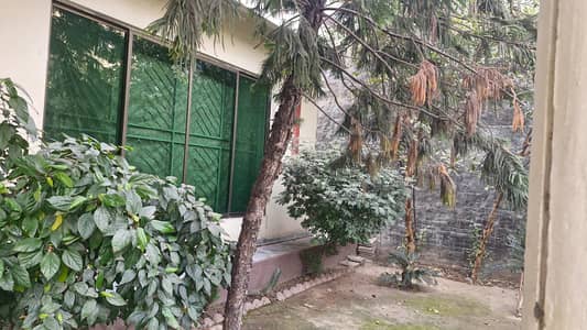 1 Kanal Old House For Sale Nayab Housing Scheme Airport Road Lahore