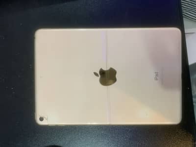 Ipad Mini 5 64GB golden color