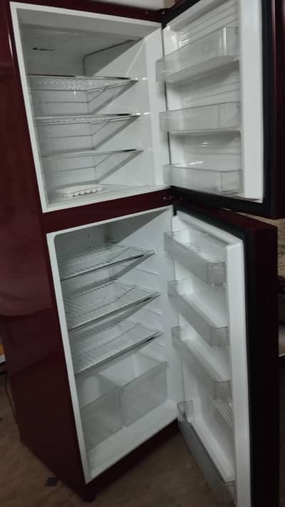 pel jumbo freezer