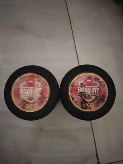 10 kg dumbbell pair